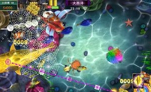 全新星力十代